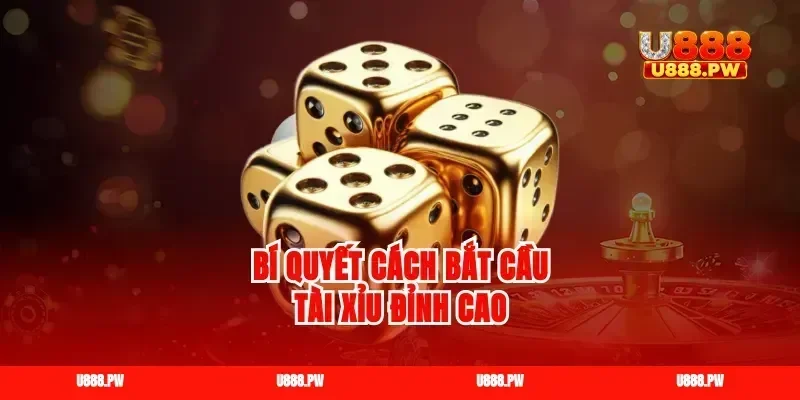 Bí quyết cách bắt cầu tài xỉu đỉnh cao