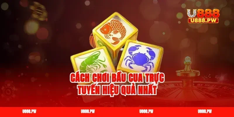 Cách chơi bầu cua trực tuyến hiệu quả nhất