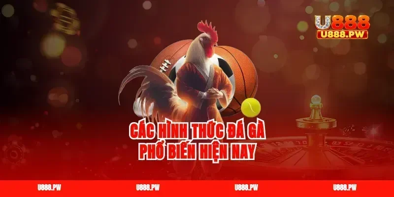Các hình thức đá gà phổ biến hiện nay
