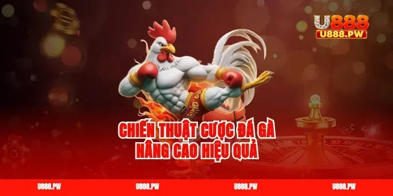 Chiến thuật cược đá gà nâng cao hiệu quả