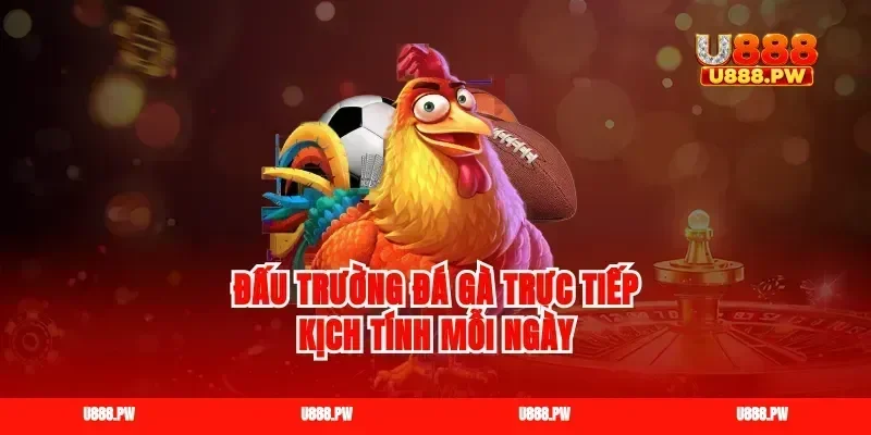 Đấu trường đá gà trực tiếp kịch tính mỗi ngày