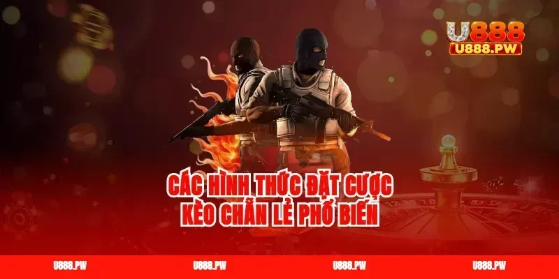 Các hình thức đặt cược kèo chẵn lẻ phổ biến
