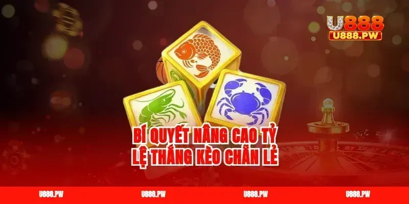 Bí quyết nâng cao tỷ lệ thắng kèo chẵn lẻ