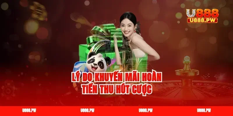 Lý do khuyến mãi hoàn tiền thu hút cược