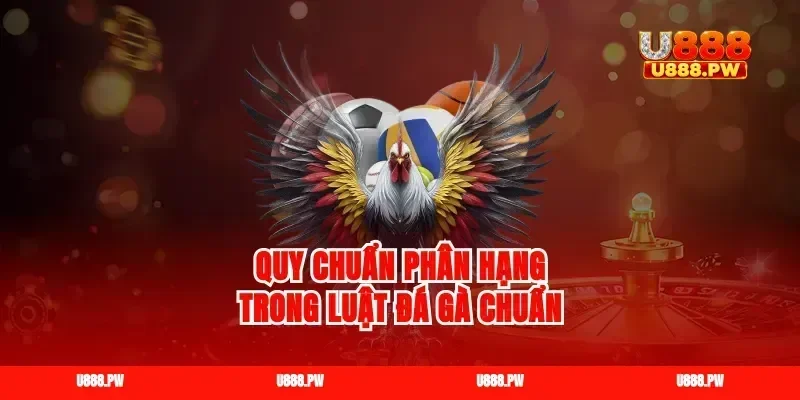 Quy chuẩn phân hạng trong luật đá gà chuẩn