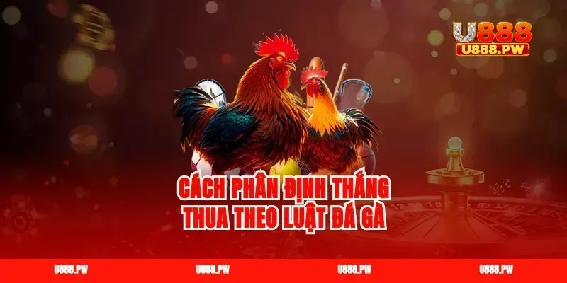 Cách phân định thắng thua theo luật đá gà