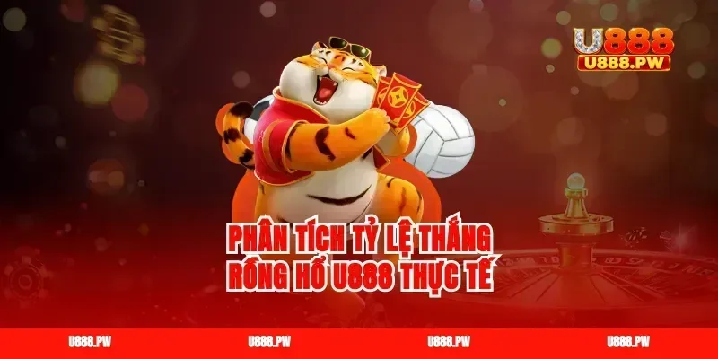 Phân tích tỷ lệ thắng rồng hổ u888 thực tế