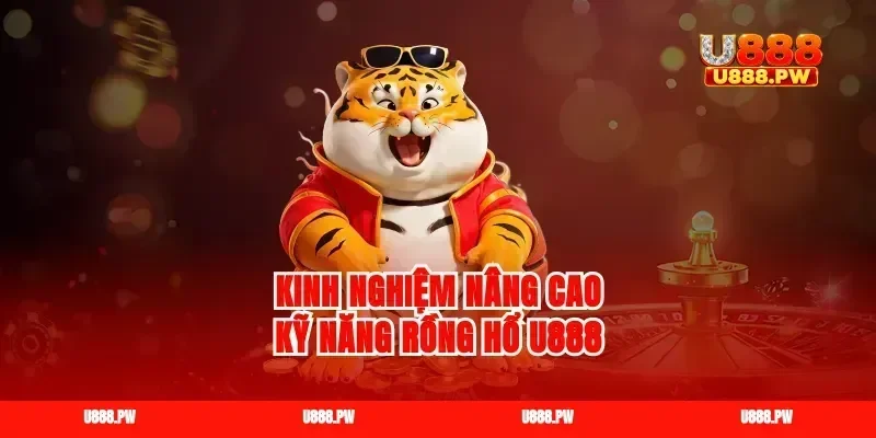 Kinh nghiệm nâng cao kỹ năng rồng hổ u888