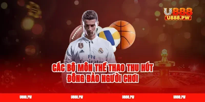 Các bộ môn thể thao thu hút đông đảo người chơi