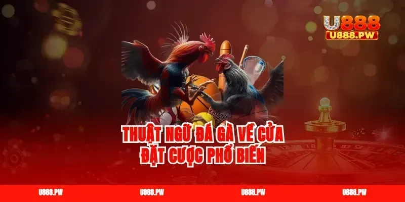 Thuật ngữ đá gà về cửa đặt cược phổ biến
