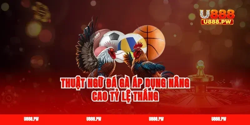 Thuật ngữ đá gà áp dụng nâng cao tỷ lệ thắng