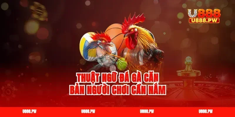 Thuật ngữ đá gà căn bản người chơi cần nắm