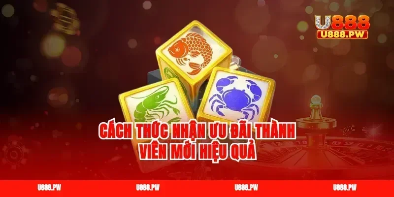 Cách thức nhận ưu đãi thành viên mới hiệu quả